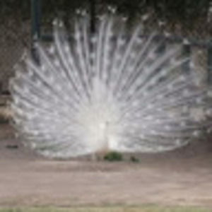 Meet your Posher, Lydia